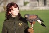 Aoife and Milly. Aoife has worked for us in the past and returned recently to visit her human and hawk friends.