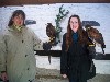 Susan & Marit Bakken about to set off and fly the hawks on their recent Hawk Walk.