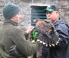 Joseph Clutterbuck with Eoin and Swift, just returned from their Hawk Walk.