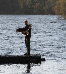 Here is Damian flying one of the babies by the lake at Ashford Castle recently. 