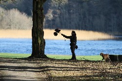 Aurelie flying one of the baby hawks by the lake at Ashford Castle with her dog ( Boo) along for expert advice!