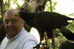 Dave Chamberlain flying Fomhar, as captured by his niece Lisa O\'Donnell.