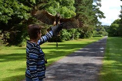 Albert Kuhn captured this great landing shot of Inca with Kathy Kuhn recently.