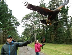 I love this photo that Christian Kovac sent in from the Kovac recent Hawk Walk.