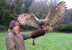 Rosemary McCreery sent this outstanding photo of Dingle landing during their recent Hawk Walk.