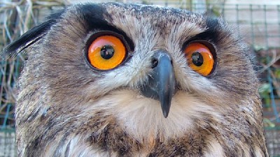 Brilliant photos of Dingle by Liam Kane