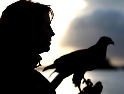 This is a stunning photo of Aoife flying Milly by the lake.