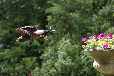 This is an outstanding photo - thank you so much to the Schramsberg family for sending it in.