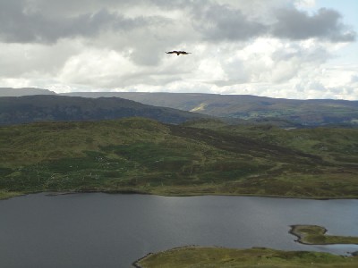 How Courtney managed to capture this while we were all struggling up the mountain I don\'t know, but Joyce is thinking that she has never been so high at only 12 weeks of age!!!