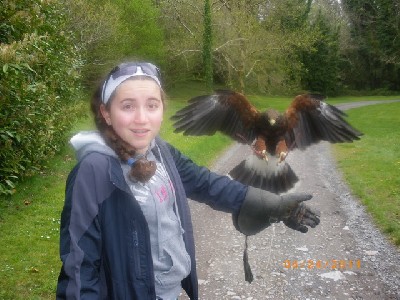 Thank you to Lindsey for this brilliant photograph of Rua coming in to land!