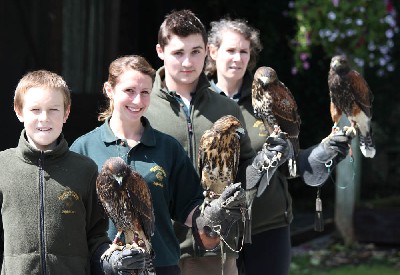 The class of 2012 at 9 weeks old. From the front is:- Maya (female), Inca (Peruvian female), Aztec (male) & Chico (male).