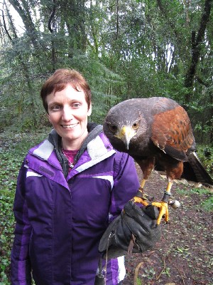 February Hawk Walk guest photos