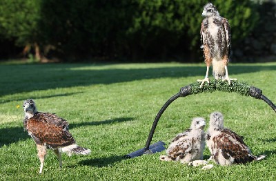 It took an age to get everyone to please sit still!!