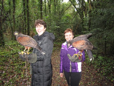 February Hawk Walk guest photos