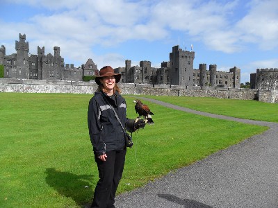 January Guest Gallery