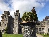 We are so lucky to fly our hawks in such a spectacular and magical place as Ashford Castle. Geoff & Fiona Dolly sent this great photo of beautiful Aztec from their recent Hawk Walk with us where they flew Aztec & Samhradh with us. 
