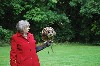 Marsha Thomas flying Dingle the owl during her recent Extended Hawk Walk with us.