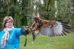 Wow, this great photo was sent in by Joe Hohner of True North Attitude.com.