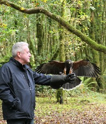 Rose Harrington managed to capture these great images from Joseph's recent Hawk Walk here. Joseph flew little Andes with us.