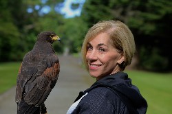 Here is Kathleen Birsic, as taken by her husband William, Kathleen flew Aztec & Chico during her recent Hawk Walk with us.