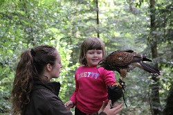 Thank you to Amy Holcomb for these wonderful photos from their recent family Hawk Walk. The Holcomb family flew wonderful Lima with equally wonderful Mel.
