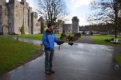 I love this action photo of Samhradh landing. Claire Wilkes took this great photo as her husband flew Samhradh with us recently.