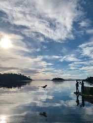 Thank you to Summer Harrison for this beautiful photo of Maya & Samhradh flying across the lake during her recent Hawk Walk with us.