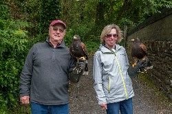 Tim & Linda Ardendt sent these great photos from their recent Hawk Walk flying wonderful Maya & Fomhar with us. 