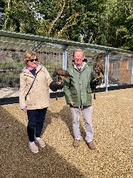 Thank you to Irene Darcy for these great photos from their recent Hawk Walk with us. Irene flew two of the baby hawks, Chestnut & Acorn, and did a great job of handling & flying them with the necessary sensitivity and patience. Thank you.