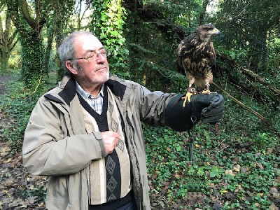 Here is little Pippin on his first Hawk Walk. He is just 4 months old but is coming along very well. Alan Kay did a wonderful job of flying him, taking good care of him on his first ever Hawk Walk. 