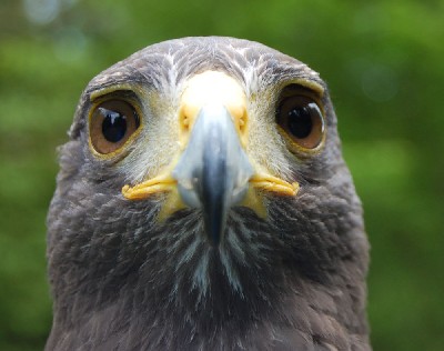 I love this brilliant close-up photo from Rayvin Brewer, it is absolutely stunning.