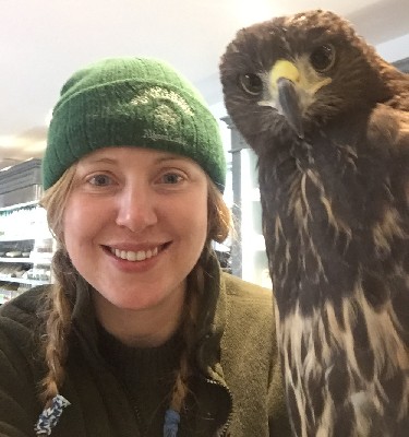 For World Falconry Day (slogan this year is Women Falconers) here is Meaghan, with one of the baby hawks, stopping for coffee at Mrs Tea\'s coffee shop! 