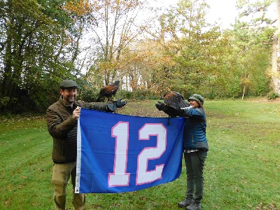 Thank you to Sean & Angela Kimmel for these great photos from their recent Hawk Walk. Sean & Angela flew Ispini & Bagun and took the opportunity to introduce them to the Seattle Seahawks 12 man flag!